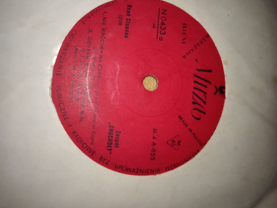 Płyta winylowa singiel Chochoły