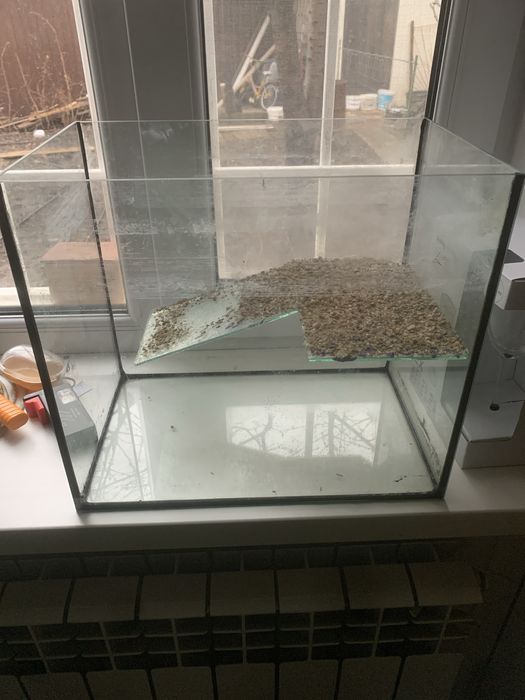 Акваріум, тераріум для черепахи б/у
