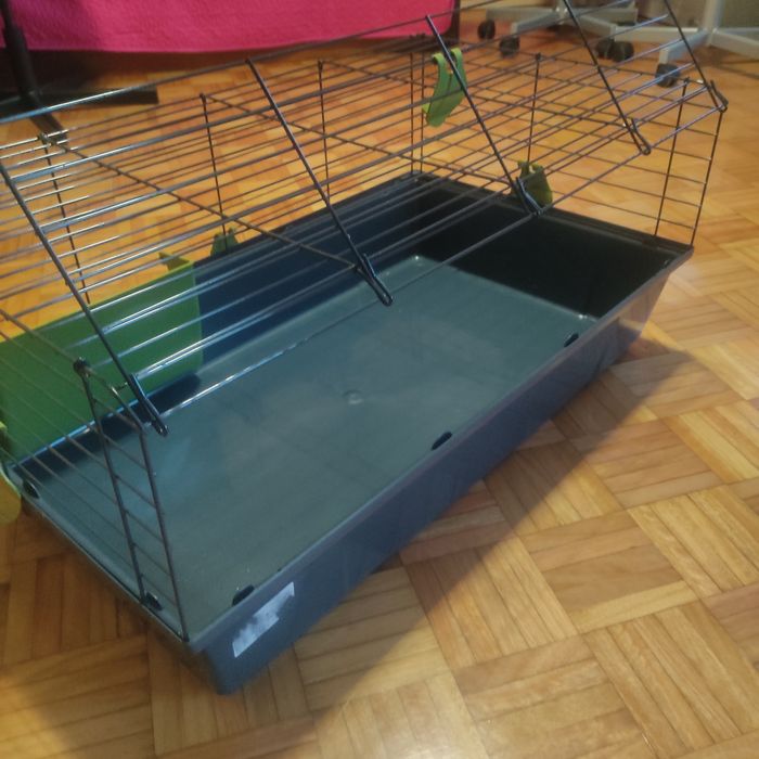 Gaiola para grandes roedores