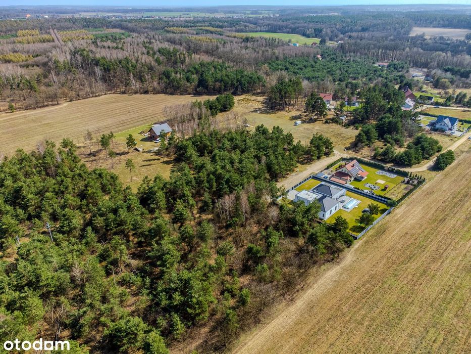 Na sprzedaż działka budowlana 1604 m², MPZP, Ostrowina, gm. Oleśnica