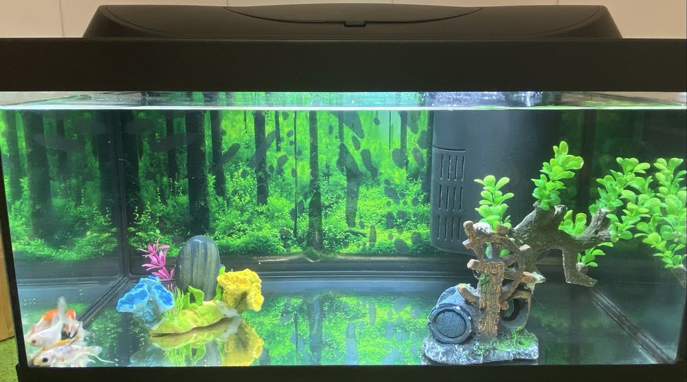 Aquarium tetra 54 l