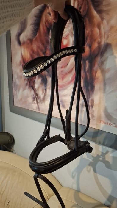 Ogłowie cob lakierowane