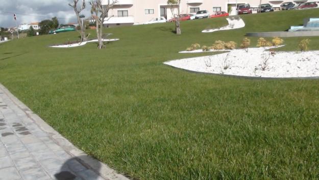 Relva natural em rolo de 1m2