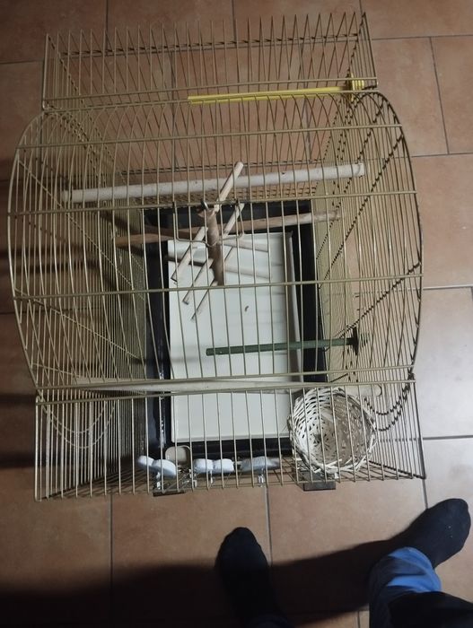 Sprzedam klatkę na kanarki