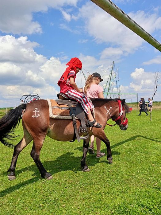 Oprowadzanki na kucyku