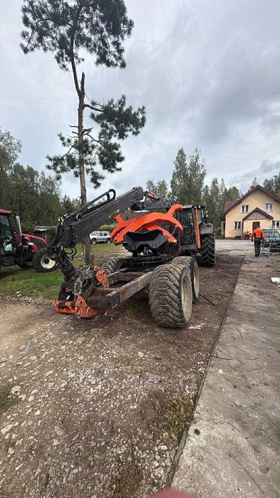 Porządkowanie, usuwanie samosiewów, wycinka drzew transport drewna