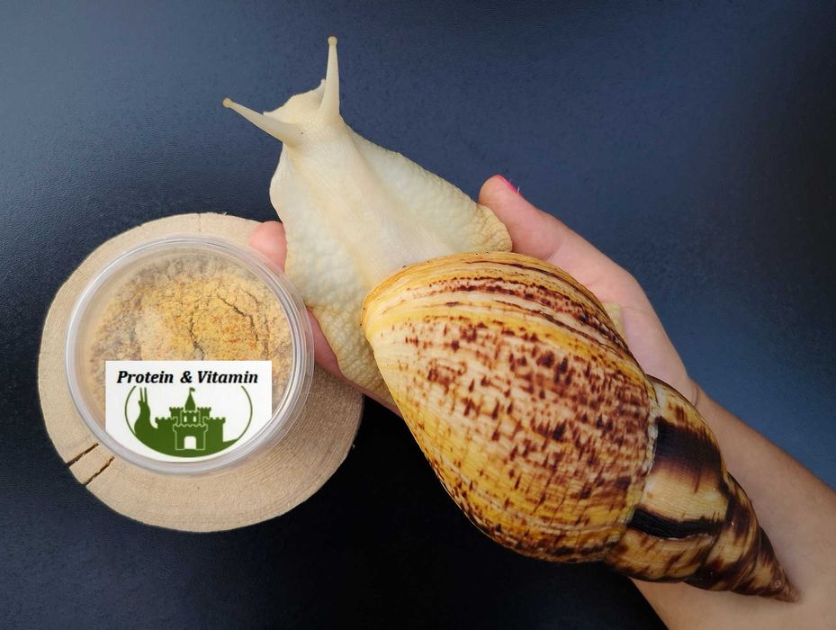 Mix ziaren dla ślimaków Achatina, Archachatina