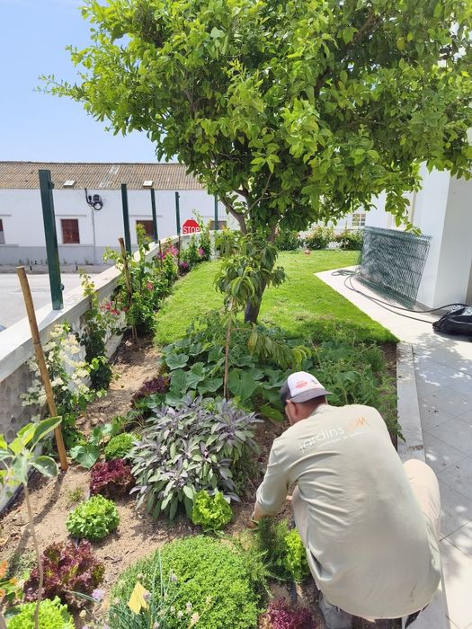 Manutenção de jardins e limpezas de terrenos