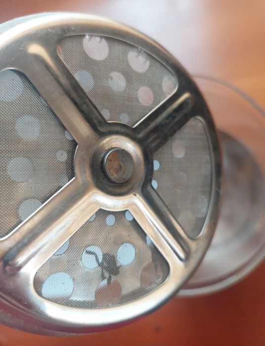 Френч-пресс Bergner 600 мл. для заварки чая, кофе, трав.