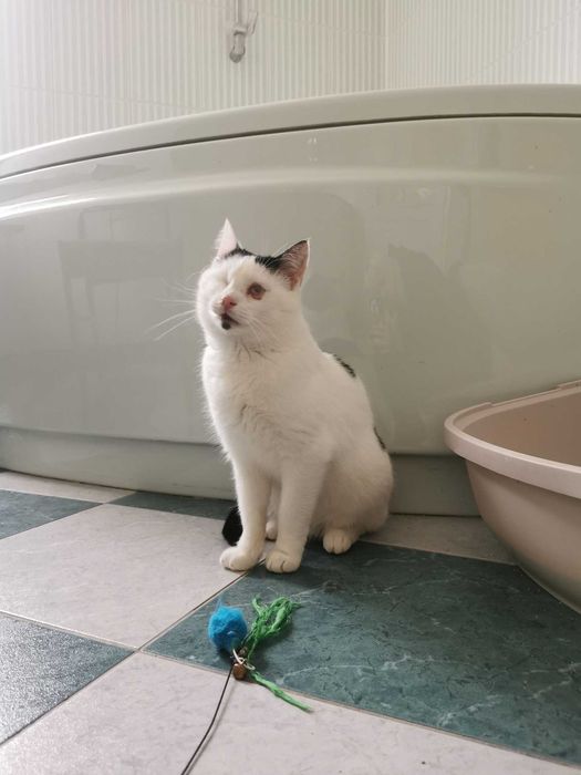 Miłość jest ślepa