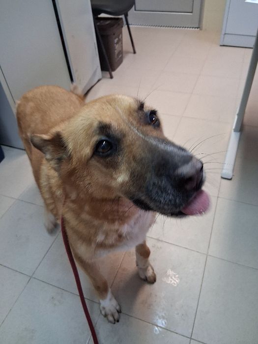 Meu pescoço quase cortado quando me resgataram