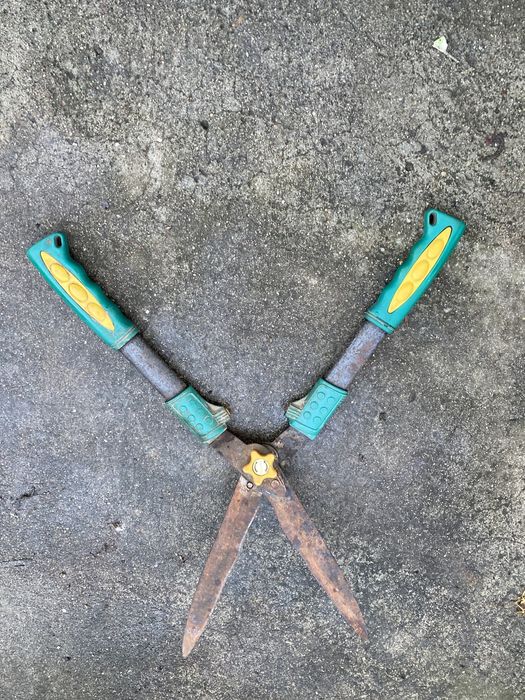 Tesouras cortar arbustos