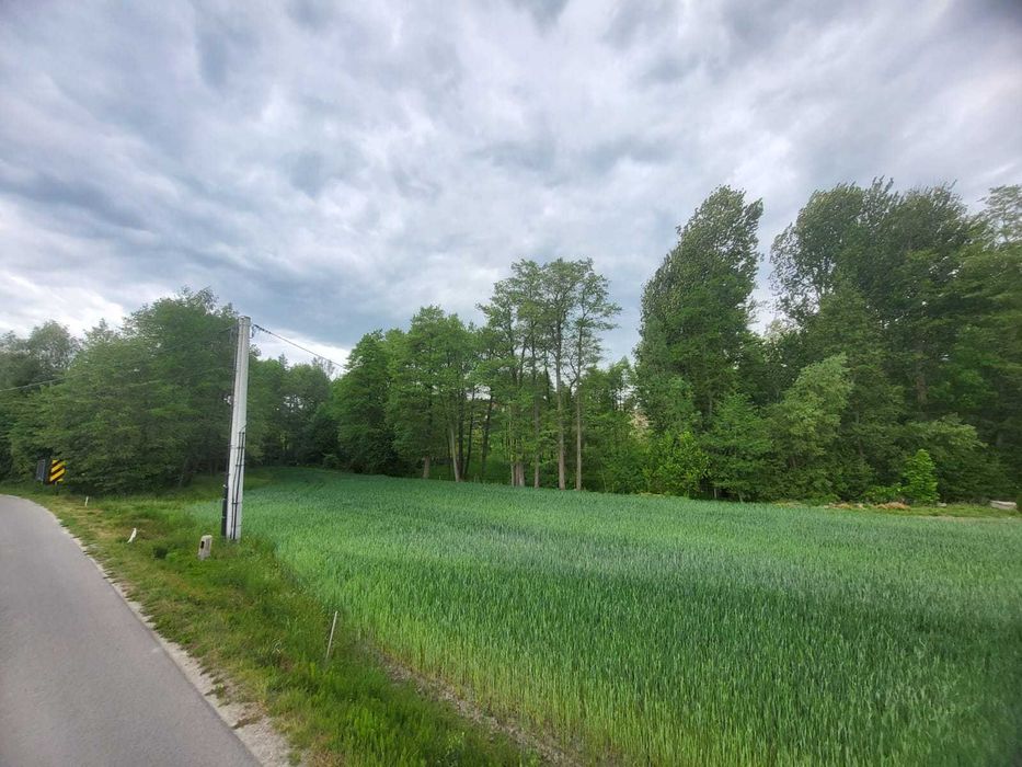 Maszki gmina Wojciechów nr ewid. 801/1 - spokojna, zielona okolica z widokiem na rozległe pola uprawne, las, blisko rzeki Bystra, 15 km od Lublina - Widok 6