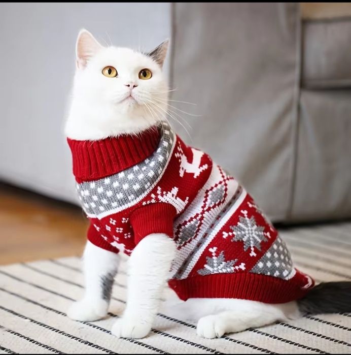 Świąteczny sweter dla zwierząt; dla psów i kotów
