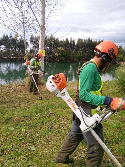 LIMPEZA de Terrenos e manutenção de espaços verdes
