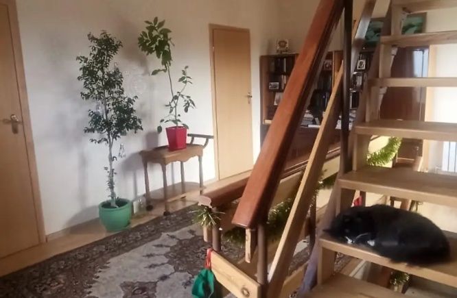 [44]Продаж 2 поверхового будинку з ремонтом і ділянкою  4 сотки