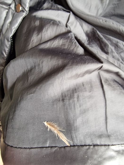 Pikowany płaszcz damski z prawdziwego puchu Mohito.