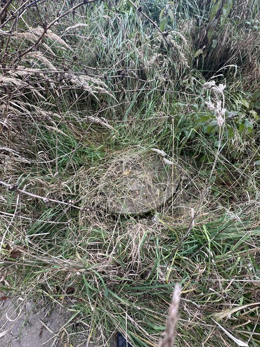 Продаж земельної ділянки в Сокільниках, 12 сот.