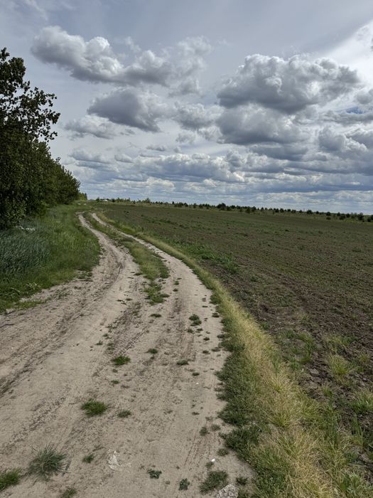 Продаж землі 50 сот комерційного призначення