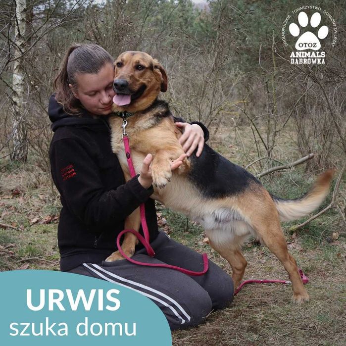 Urwis szuka domu domu !!!