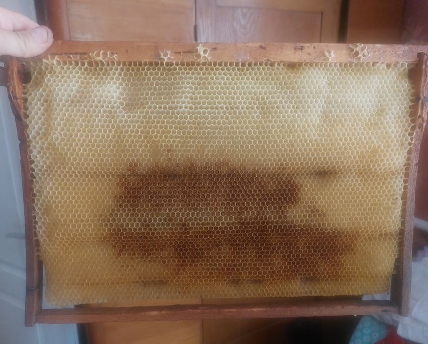 Суш, сушняк, рамки. Даданівські