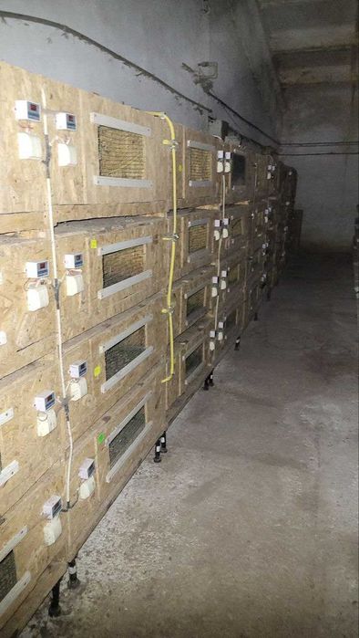 !!! Продається  ферма для ведення птахо-бізнесу