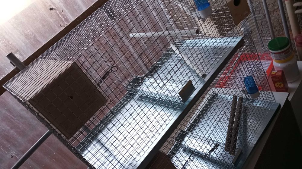 Conjunto de gaiolas de criação