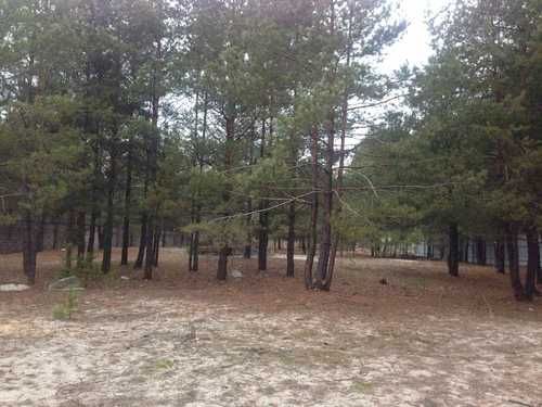 Продажа участка с лесом в селе Конча- Заспа в городке .Обуховский р-н