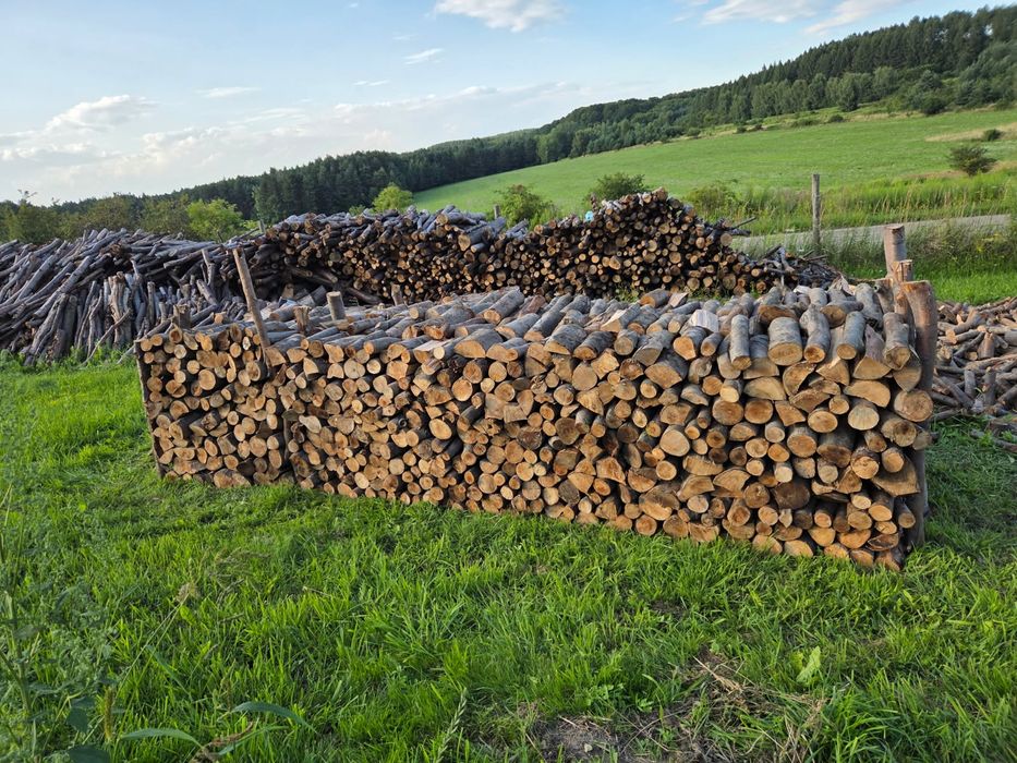 Drzewo kominkowe (Buk)