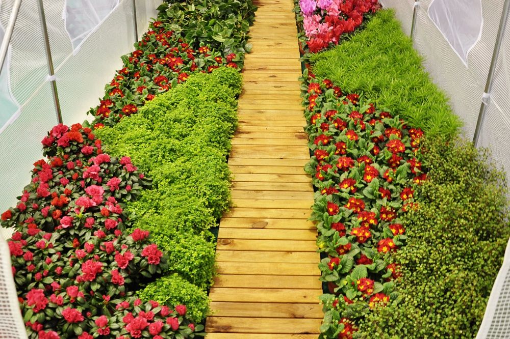 TUNEL FOLIOWY 2x3m. CM (6 M2) szklarnia, Biały