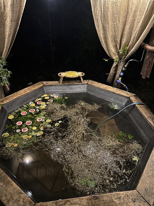 Приватна садиба «Forest House» Закарпаття (чан,сауна,відпочинок)