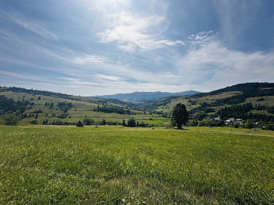 Ціна за сотку 400 до 600$ продаж від 5 соток до 7 га