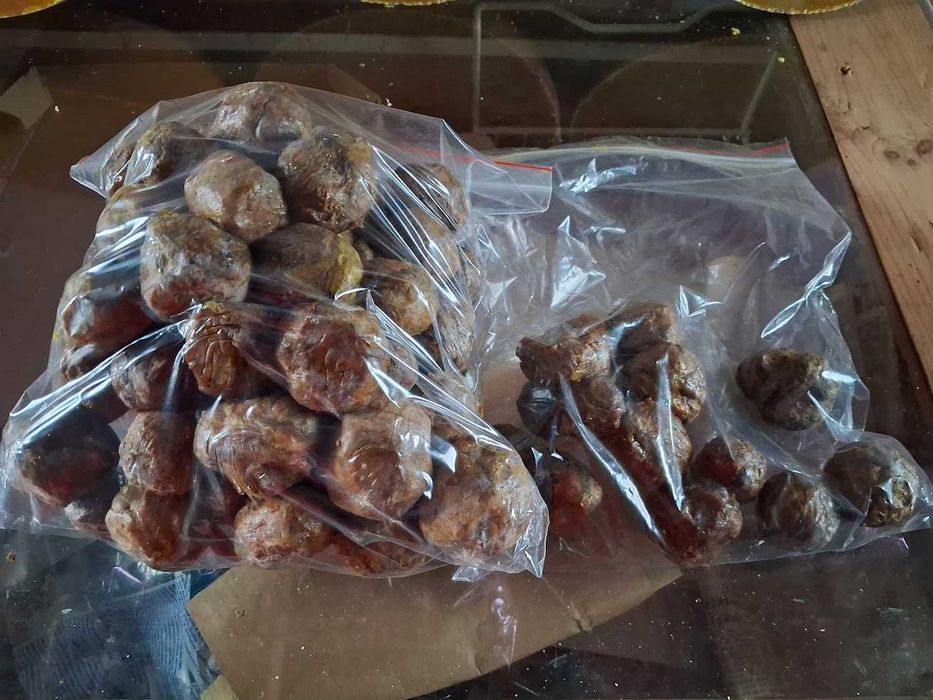 Прополіс бджолиний