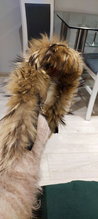 Naturalne futerko obszycie kaptura 61cm