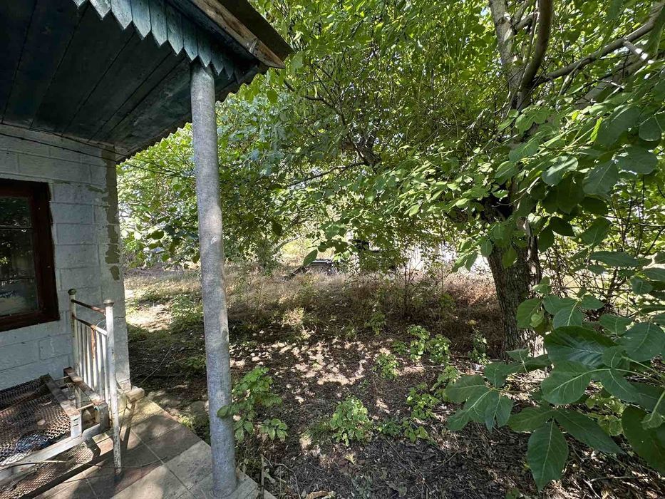Будинок в с. Луканівка (Миколаївська обл.) – 59 соток землі!
