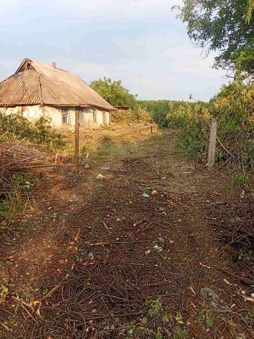 Продам земельну ділянку в місті Узин.
