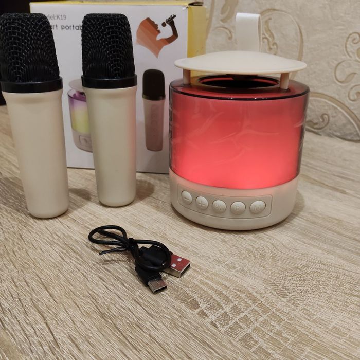 Караоке Bluetooth колонка із двома мікрофонами
