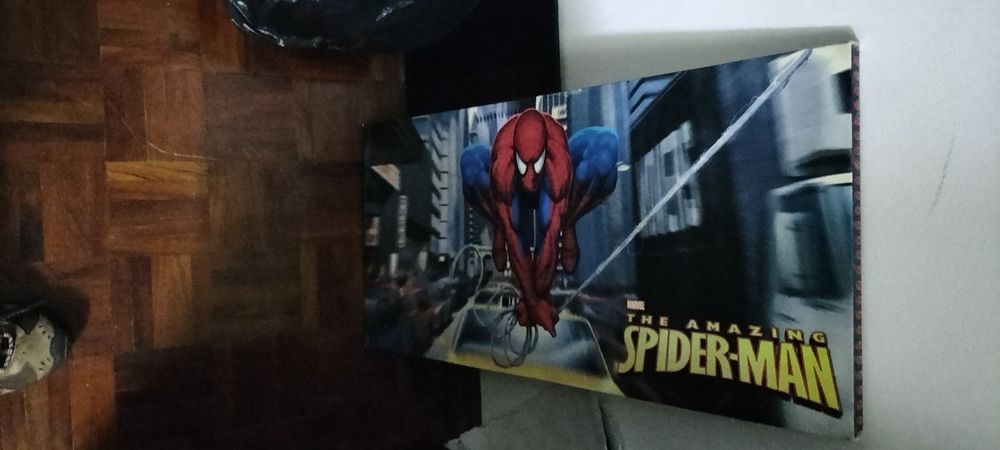 Vendo quadro do Spider-man