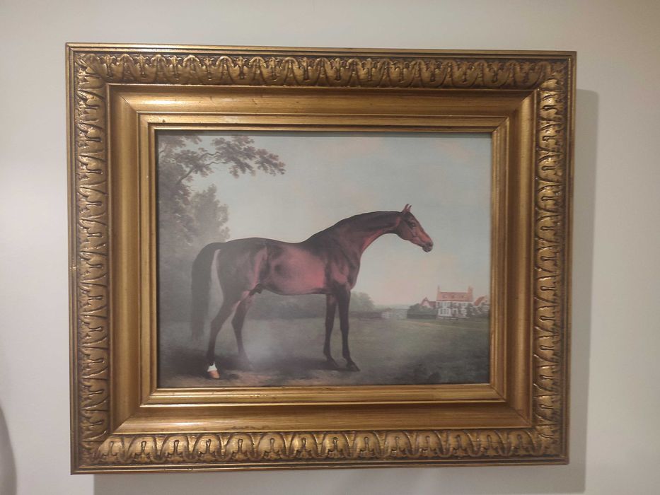 Quadro de cavalos - conjunto de dois quadros moldura dourada