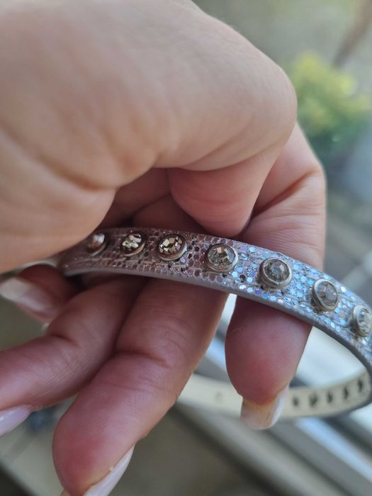 Acessórios Cão (Pequeno porte)