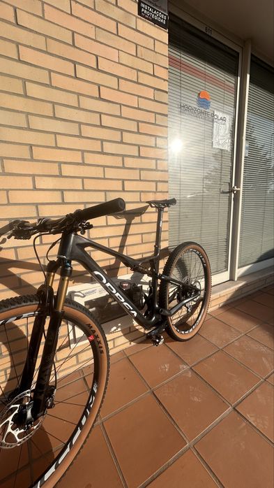 Orbea Oiz 2026 Carbono | Tamanho L