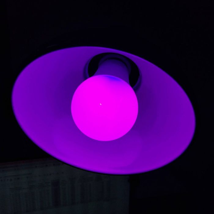 Cвітлодіодна лампа розумна smart Wi-Fi+Bluetooth 10 W RGB