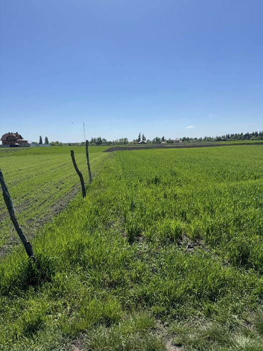 Продам земельну ділянку 15 сот сел .Кодаки під будівництво