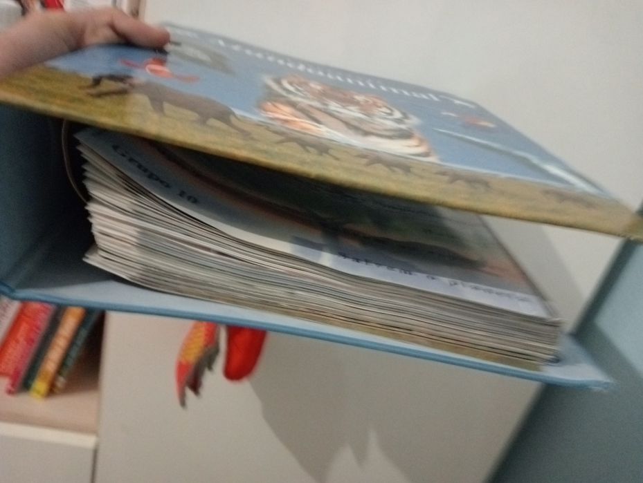 O fascinante mundo animal numa capa
