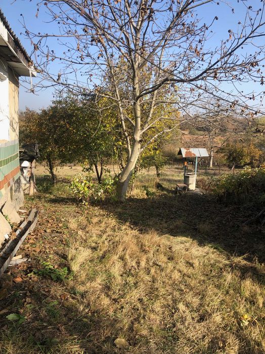 Продаж 1-но поверхового будинку в с.Могилівка