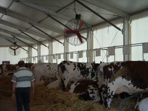 Mieszacz powietrza wentylator przemysłowy Multifan do obory, chlewni.