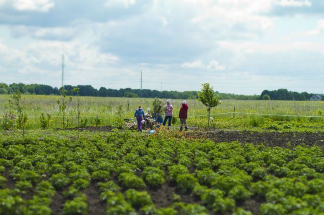 Земельна ділянка