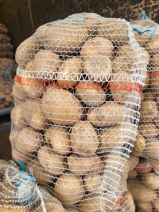 Sprzedam ziemniaki Irga, Catania, queen anna