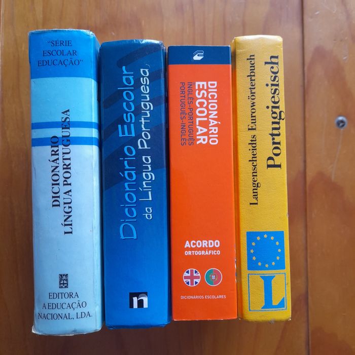 Dicionarios escolares diversos