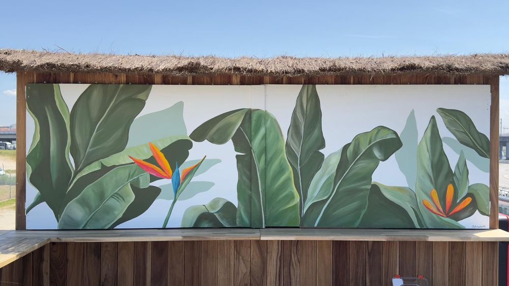Murais e pintura
